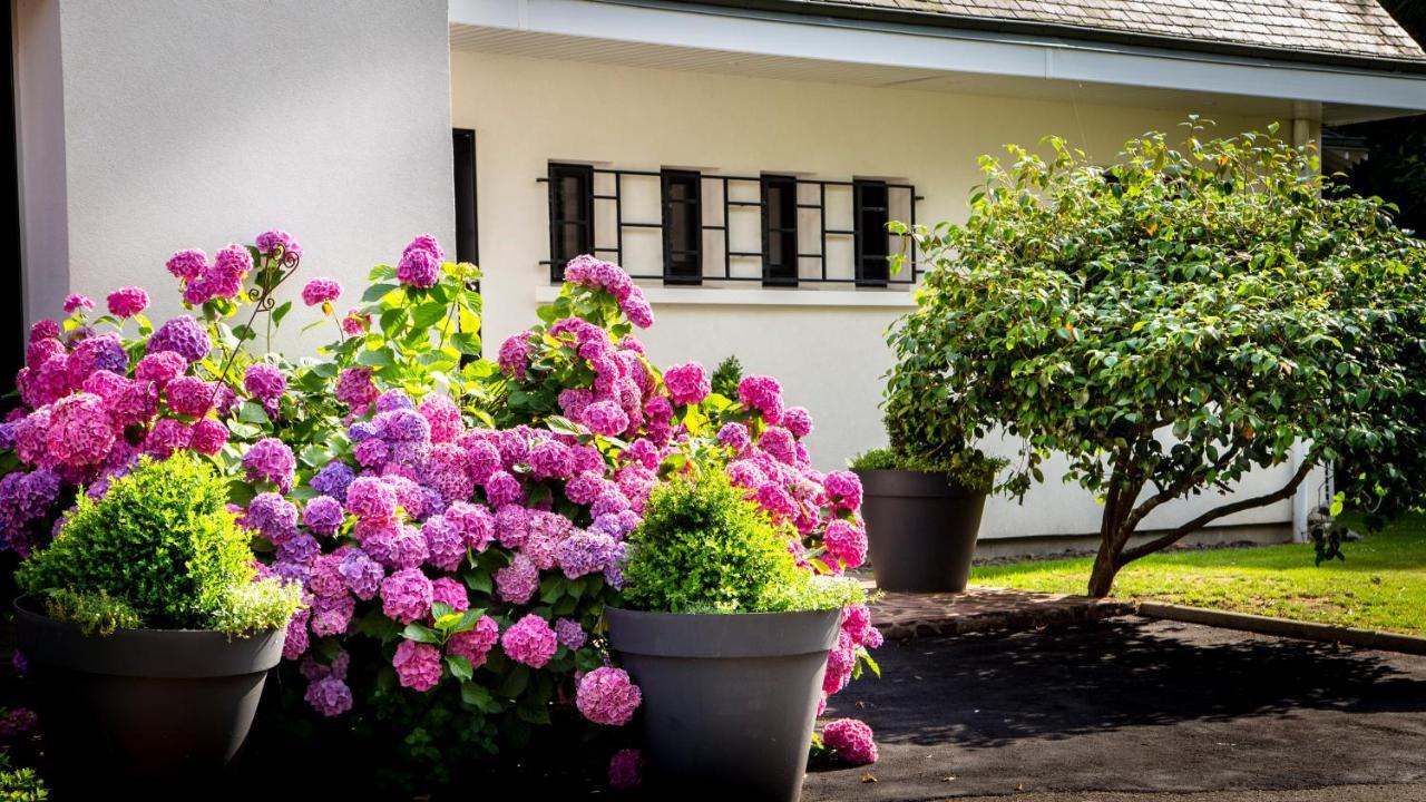 Bed and Breakfast Le Champ Du Renne Le Mans Exterior foto